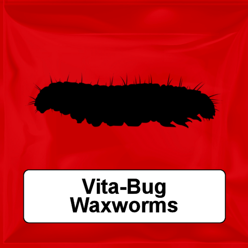 Vita-Bug Waxworms