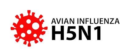 Avian influenza H5N1 virus illustration.