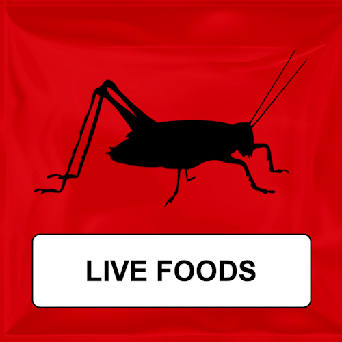 Live Foods