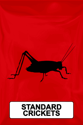 A black silhouette of a cricket on a red background with text that reads Standard Crickets.. 