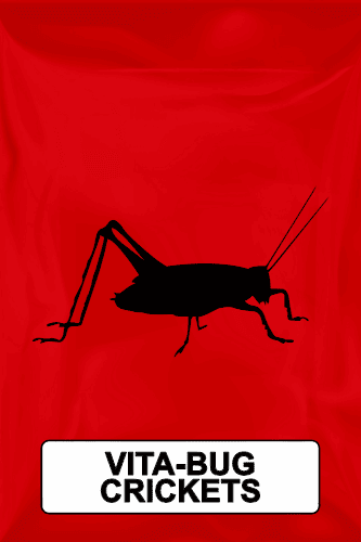 A black silhouette of a vita-bug cricket on a red background with text that reads Vita-Bug Crickets.