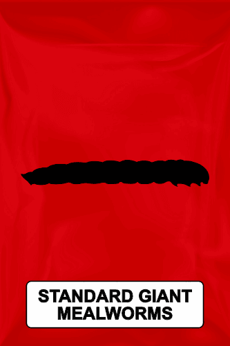 A black silhouette of a standard giant mealworm on a red background. 