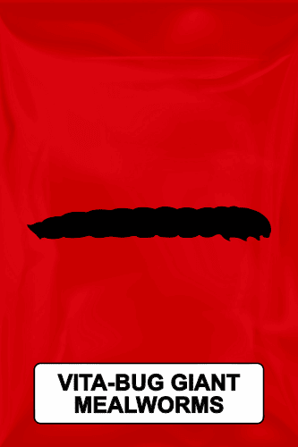 A black silhouette of a vita-bug giant mealworm on a red background. 