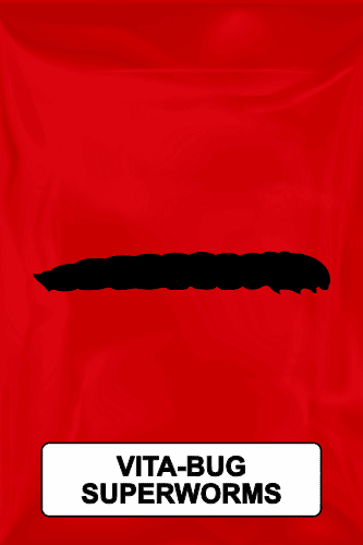 A black silhouette of a vita-bug superworm on a red background. 