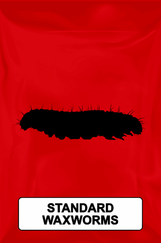 A black silhouette of a standard waxworm on a red background. 