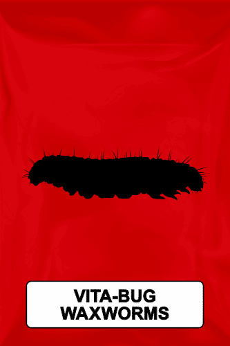 A black silhouette of a vita-bug waxworm on a red background. 