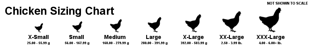 Chicken sizing chart for frozen feeder chicks, including sizes from Extra-Small to Triple Extra-Large, with corresponding weight ranges.