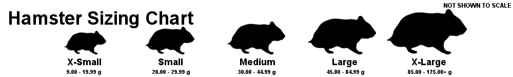 Hamster sizing chart showing silhouettes of X-Small, Small, Medium, Large, and X-Large hamsters with corresponding weight ranges for each size.