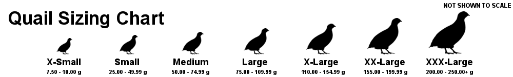 Quail sizing chart illustrating various sizes from X-Small to XXXX-Large with corresponding weight ranges.