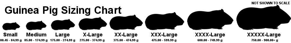 Guinea pig sizing chart displaying various sizes from Small to Quintuple Extra-Large, with corresponding weight ranges in grams, for selecting appropriate frozen feeder options.