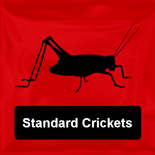 Standard Crickets