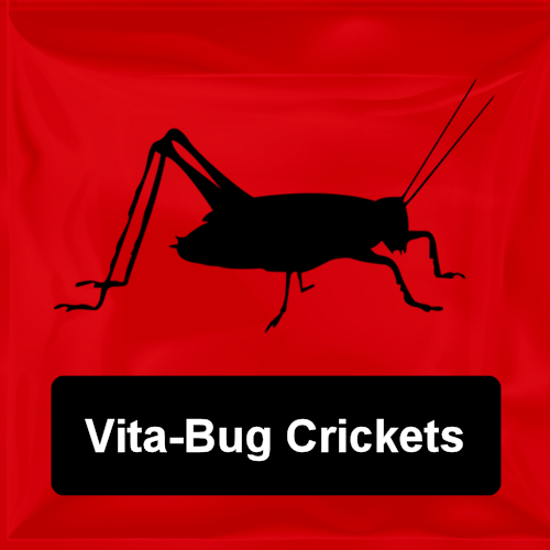 Vita-Bug Crickets