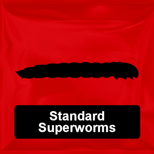 Standard Superworms
