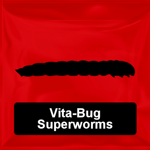 Vita-Bug Superworms