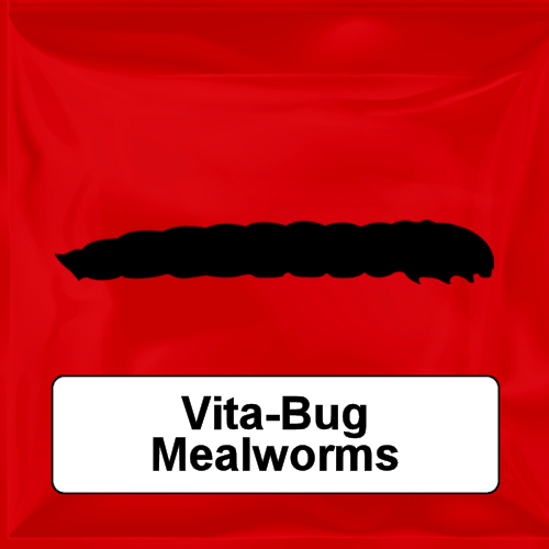 Vita-Bug Mealworms