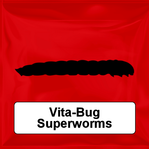 Vita-Bug Superworms