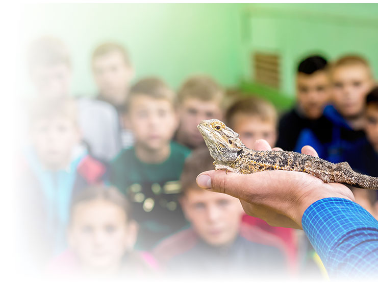 Educator holding a lizard in a classroom