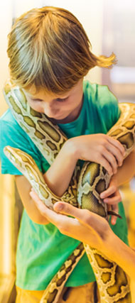 Student interacting with a classroom snake