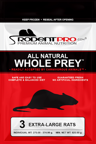 Extra-Large Frozen Rats for Snakes (3 Per Bag)