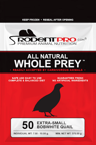 Extra-Small Frozen Bobwhite Quail Chicks (50 Per Bag)