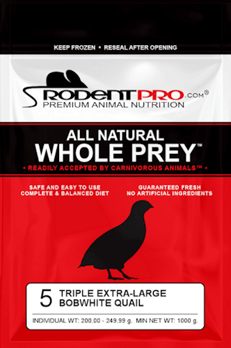 Triple Extra-Large Feeder Quail (5 Per Bag)