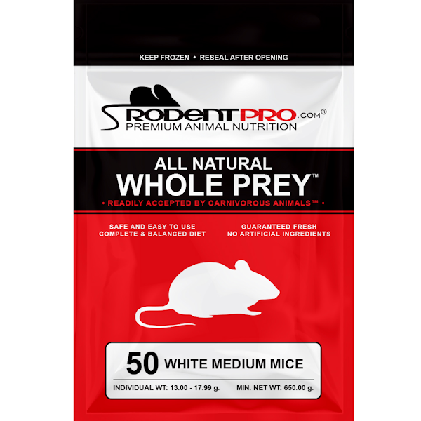 White Medium Snake Food Mice (50 Per Bag)