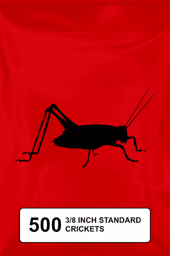 A black silhouette of a cricket on a red background. 