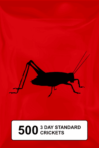 A black silhouette of a cricket on a red background. 