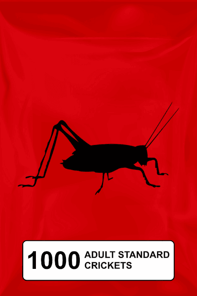 A black silhouette of a cricket on a red background. 