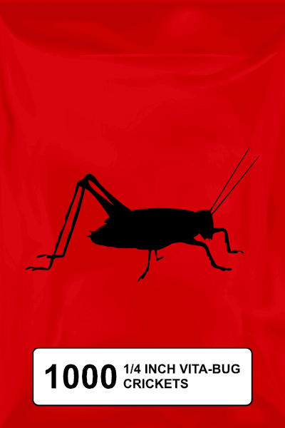 A black silhouette of a cricket on a red background. 