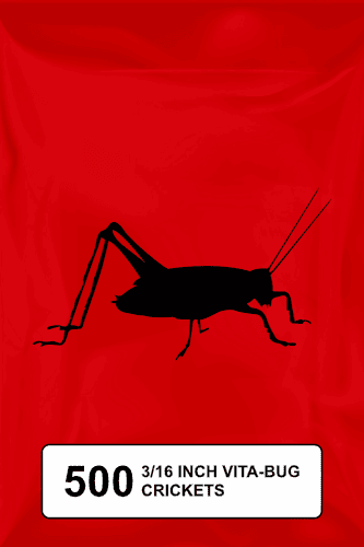 A black silhouette of a cricket on a red background.  - Thumbnail 1