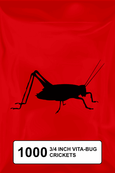 A black silhouette of a cricket on a red background. 