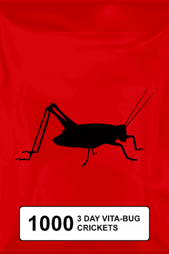 A black silhouette of a cricket on a red background. 