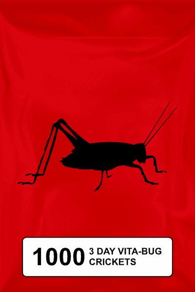 A black silhouette of a cricket on a red background. 