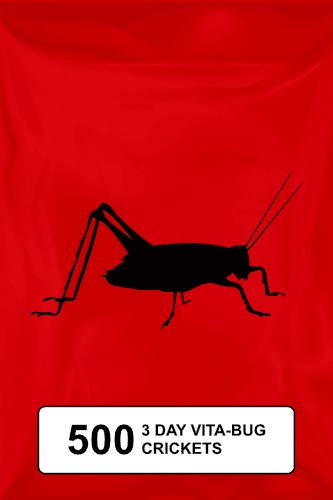A black silhouette of a cricket on a red background.  - Thumbnail 1