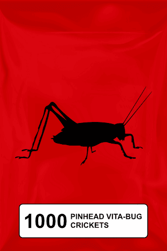 A black silhouette of a cricket on a red background. 