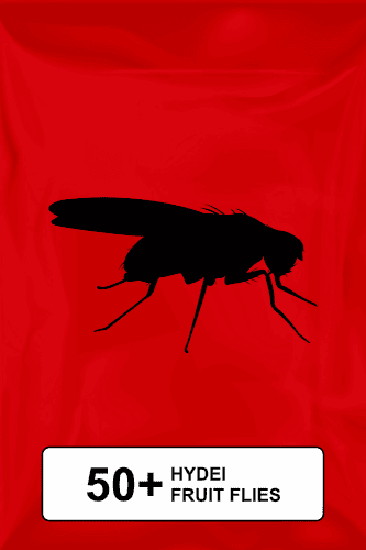 A black silhouette of a fruit fly on a red background. 