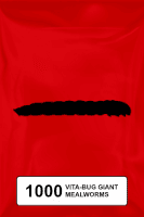 A black silhouette of a mealworm on a red background.  - Thumbnail 1