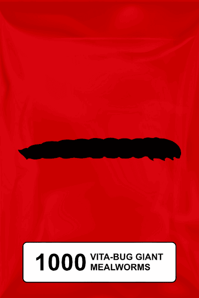 A black silhouette of a mealworm on a red background. 