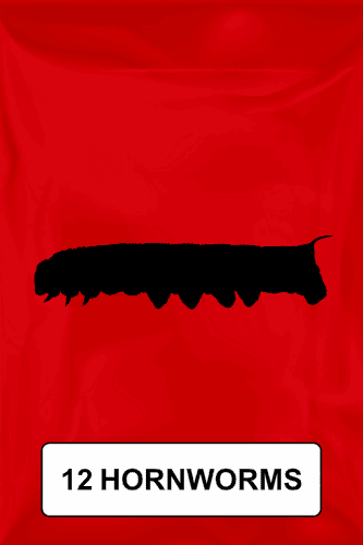 A black silhouette of a hornworm on a red background. 