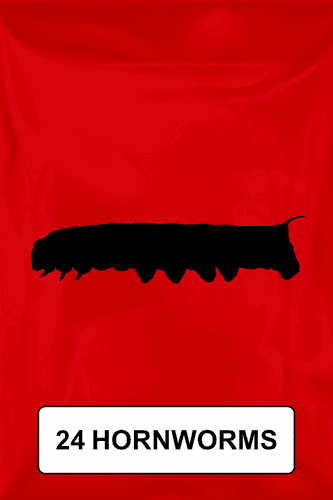 A black silhouette of a hornworm on a red background. 