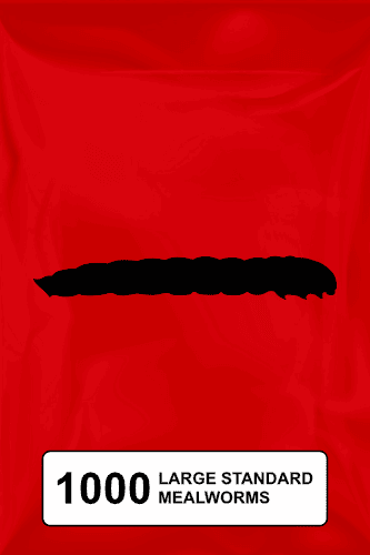 A black silhouette of a mealworm on a red background. 