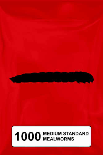 A black silhouette of a mealworm on a red background. 