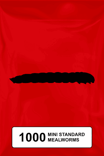 A black silhouette of a mealworm on a red background. 