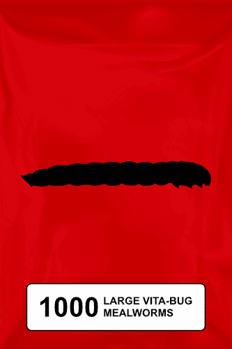A black silhouette of a mealworm on a red background. 