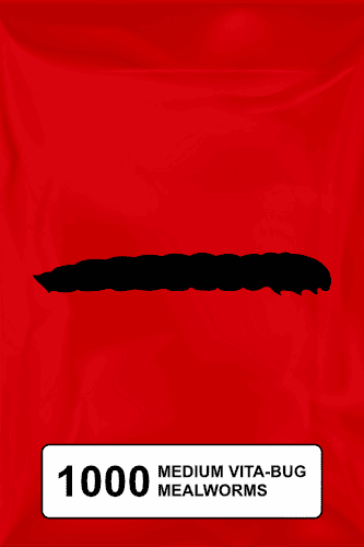 A black silhouette of a mealworm on a red background. 