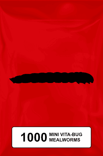 A black silhouette of a mealworm on a red background. 