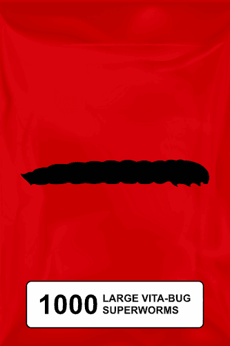 A black silhouette of a superworm on a red background. 