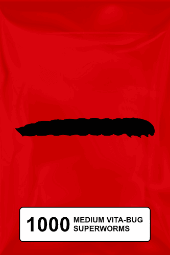 A black silhouette of a superworm on a red background. 