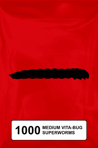 A black silhouette of a superworm on a red background. 